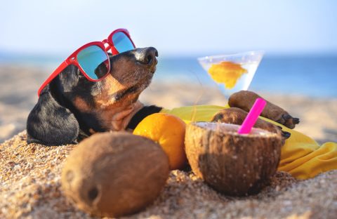 Sommerloch Marketing – Was tun, wenn die Kunden in der Sonne am See liegen?